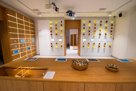 Odprtje Središča inovativnih tehnologij APILAB – HIŠA KRANJSKE ČEBELE 42